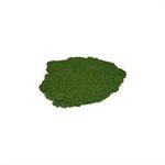 Phytoplankton 